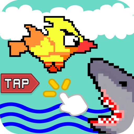 Shark Bird Attack iOS App