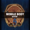 Mobile Body A