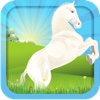 Activity Center: World of Horses