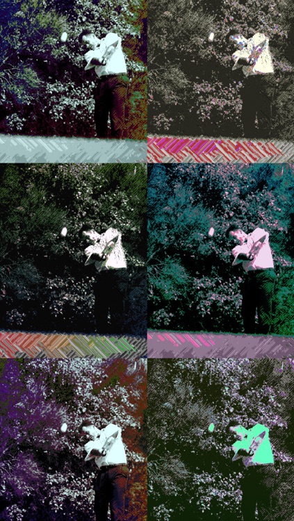 Crazy Color Cam screenshot-3