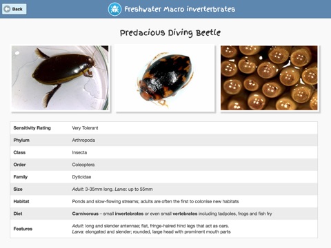 Freshwater Macro Invertebrates screenshot 2