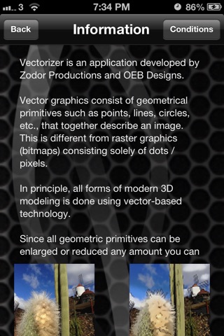 Vectorizer English version screenshot 2