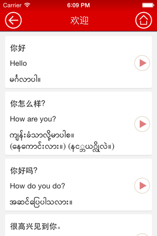 缅甸常用 语手册 Lite screenshot 2