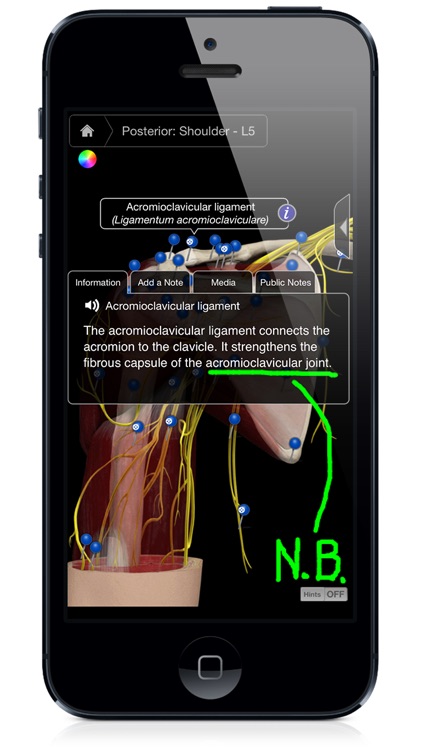 Shoulder Pro III with Animations - iPhone Edition