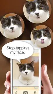 talkify pets iphone screenshot 3