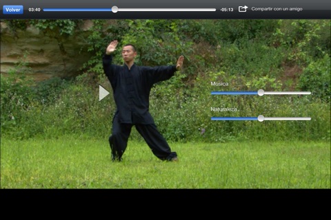 Tai Chi Lite screenshot 2