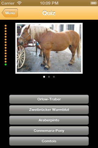 Horses screenshot 3