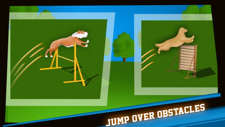 Dog Agility Obstacles Dressage Race Contest - Free Edition