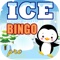 Ice Snow World Bingo Pro