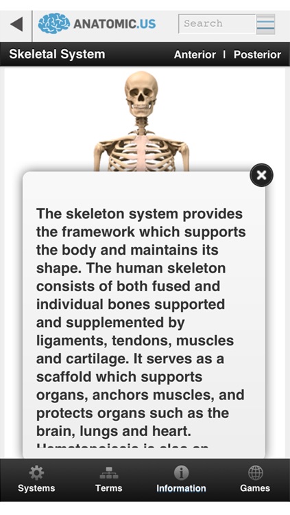 Anatomy Atlas Anatomicus