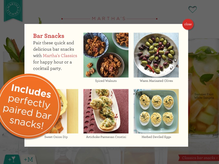 Martha Stewart Makes Cocktails screenshot-3