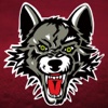 Chicago Wolves