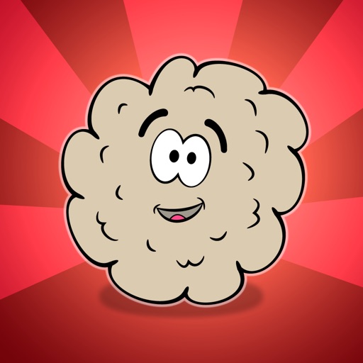 Brainz: Goes to School iOS App