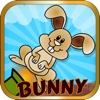 Bunny Bazooka: Animal Cannon Series