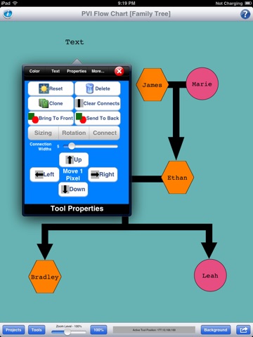 PVI - Flow Chart screenshot 4