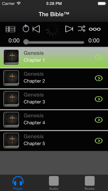The Bible™
