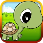Top 50 Games Apps Like Baby Turtle Flying - Tortoise Fly Racing - Best Alternatives