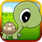 Baby Turtle Flying - Tortoise Fly Racing