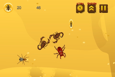 Bug Wars screenshot 3