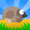 Flappy Emu