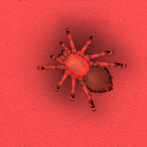 Tarantula Hologram HD Icon