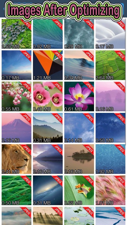 Shrink My Pictures - Reduce Image Size Without Resizing screenshot-3