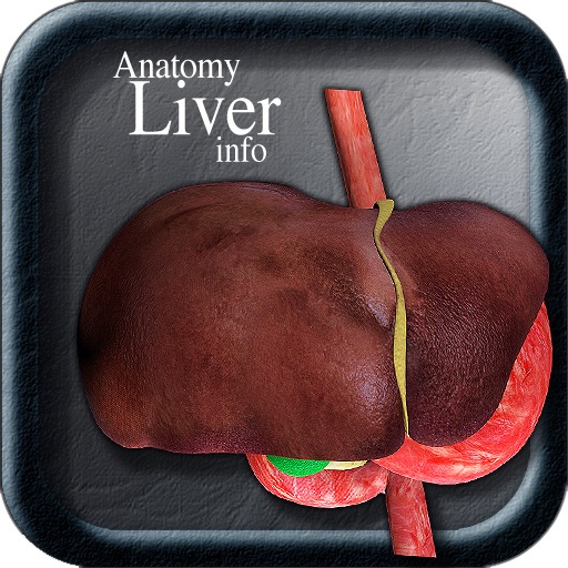 Anatomy Liver Info vii icon