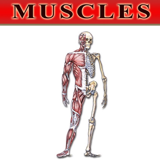 Bryan Edwards Muscles Flash Cards icon