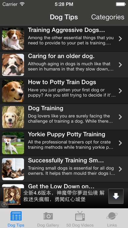 Dog Training Resources,Articles,Gallery,Videos,Guides and Advice