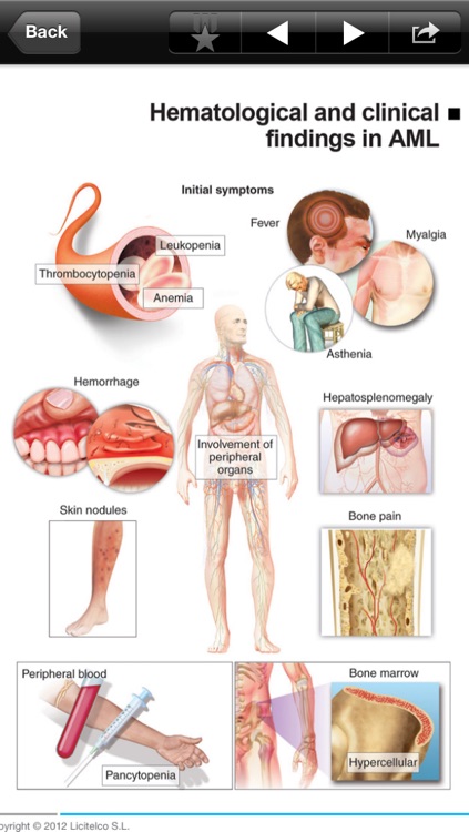 Miniatlas Hematology