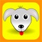 Pet Care Services Finder: Shop Pet Food Supplies, Cat Grooming, Dog Sitting & Pet Friendly Hotels!