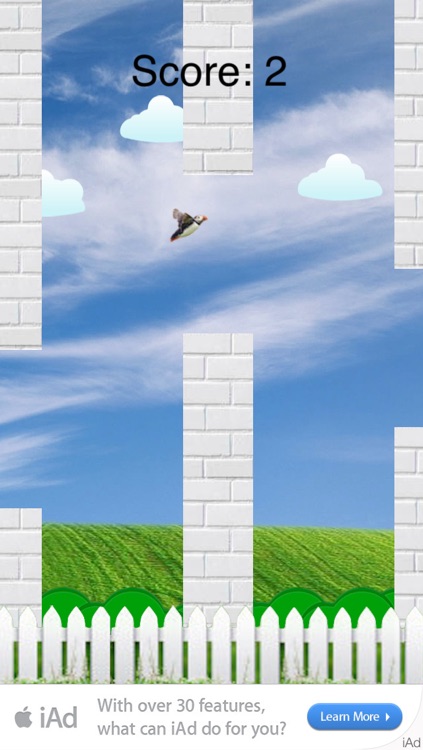 Tap to Flap - The Happy Flappy Puffin Bird