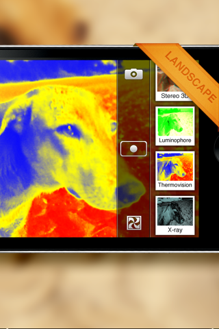 Camera Filters screenshot 4