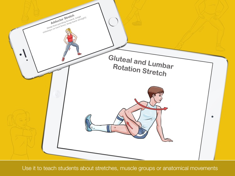 Stretch It HD - Stretching, Warm Up & Cool Down Task Cards