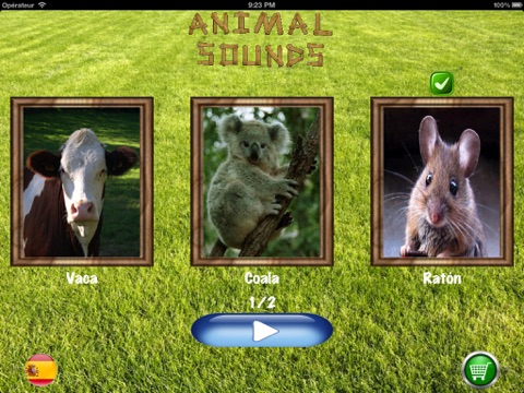 Animal Quiz HD for iPad screenshot 3