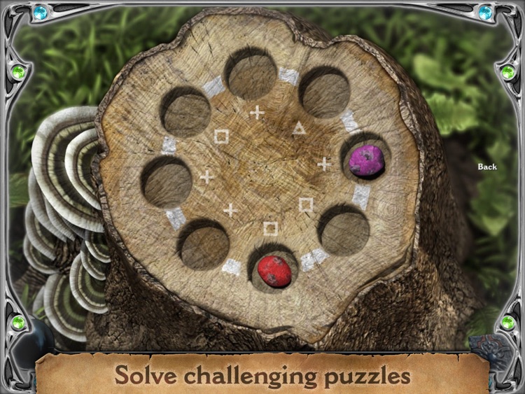 Dream Chronicles: The Chosen Child screenshot-3