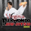 Virginia TaeKwonDo Academy