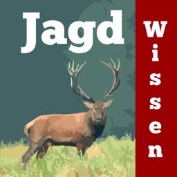 Jägersprache Jagdhunde