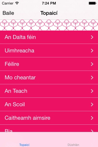 Lingua-App screenshot 2