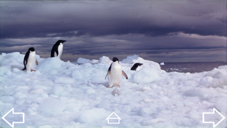 Mission Antarcticaのおすすめ画像2
