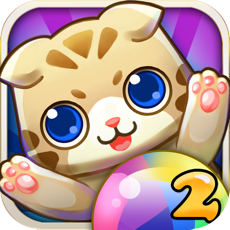 Activities of Bubble cat 2