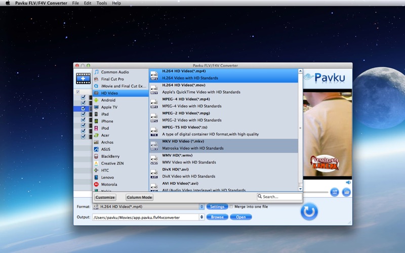 FLV/F4V Converter thumbnail 2