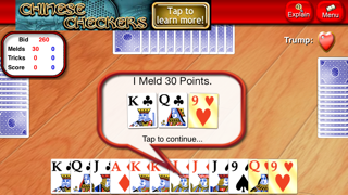 Pinochle Lite screenshot 3