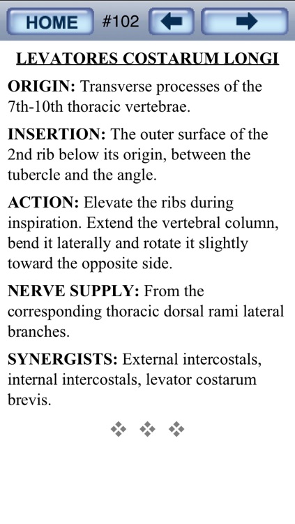 Bryan Edwards Muscles Flash Cards screenshot-3