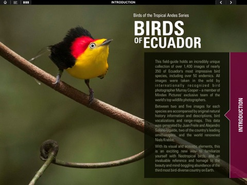 Birds Of Ecuador screenshot 2