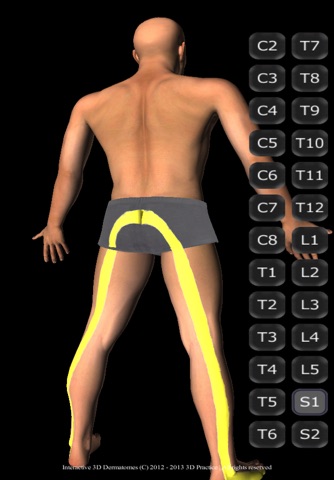 Interactive 3D Dermatomes screenshot 2