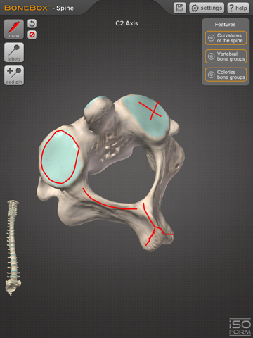 BoneBox™ - Spine Viewerのおすすめ画像4