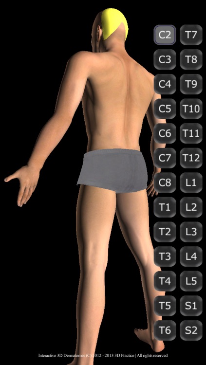 Interactive 3D Dermatomes