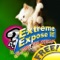 FREE! Oh so cute Kittens! : Extreme Expose It!