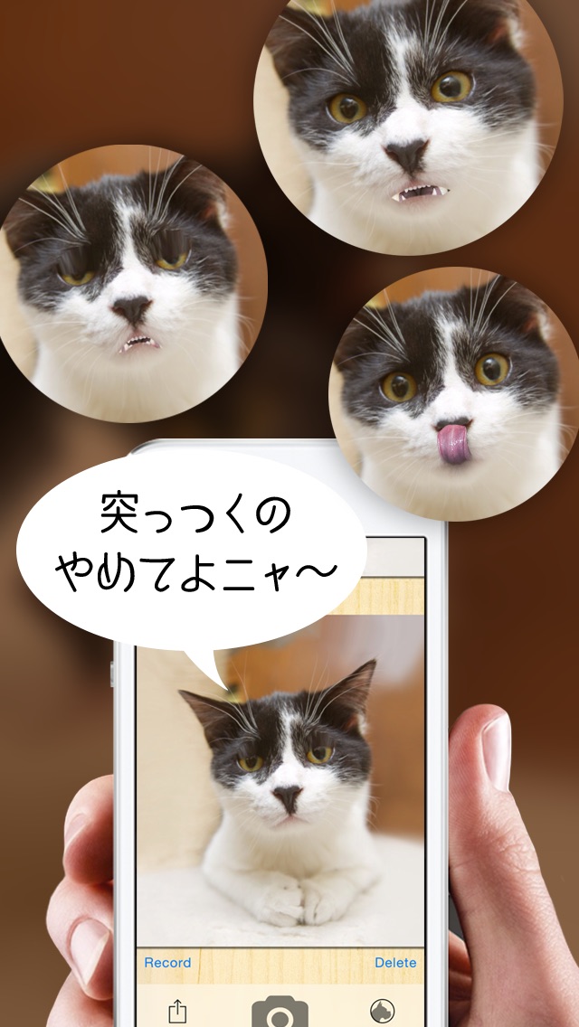 おしゃべりどうぶつ3D screenshot1